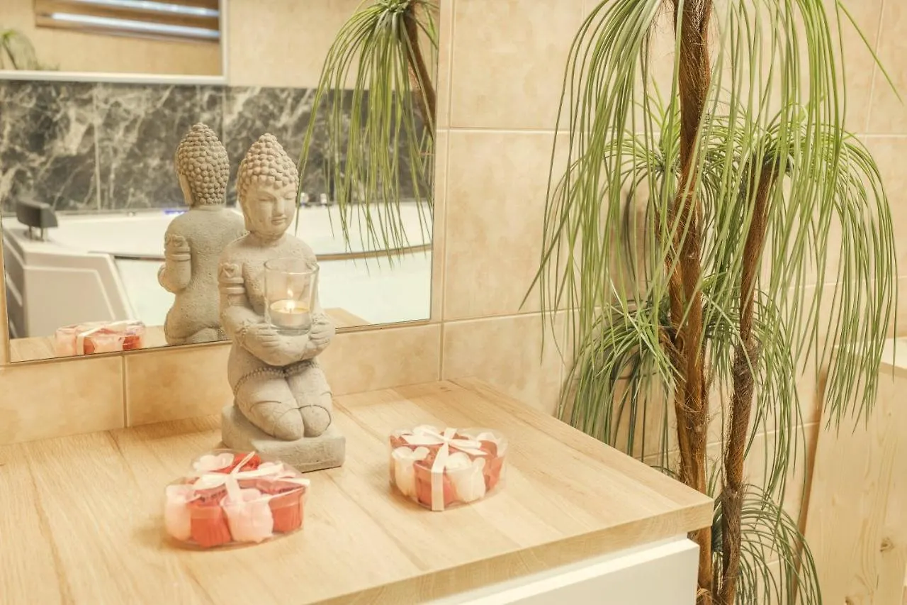 Wellness Studio! Finnish Sauna, Whirlpool, Gym & More! Prag
