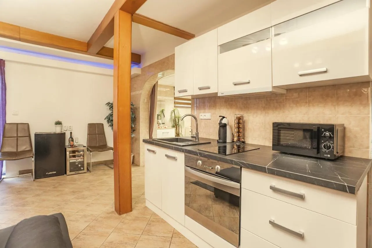 Apartment Wellness Studio! Finnish Sauna, Whirlpool, Gym & More! Prag