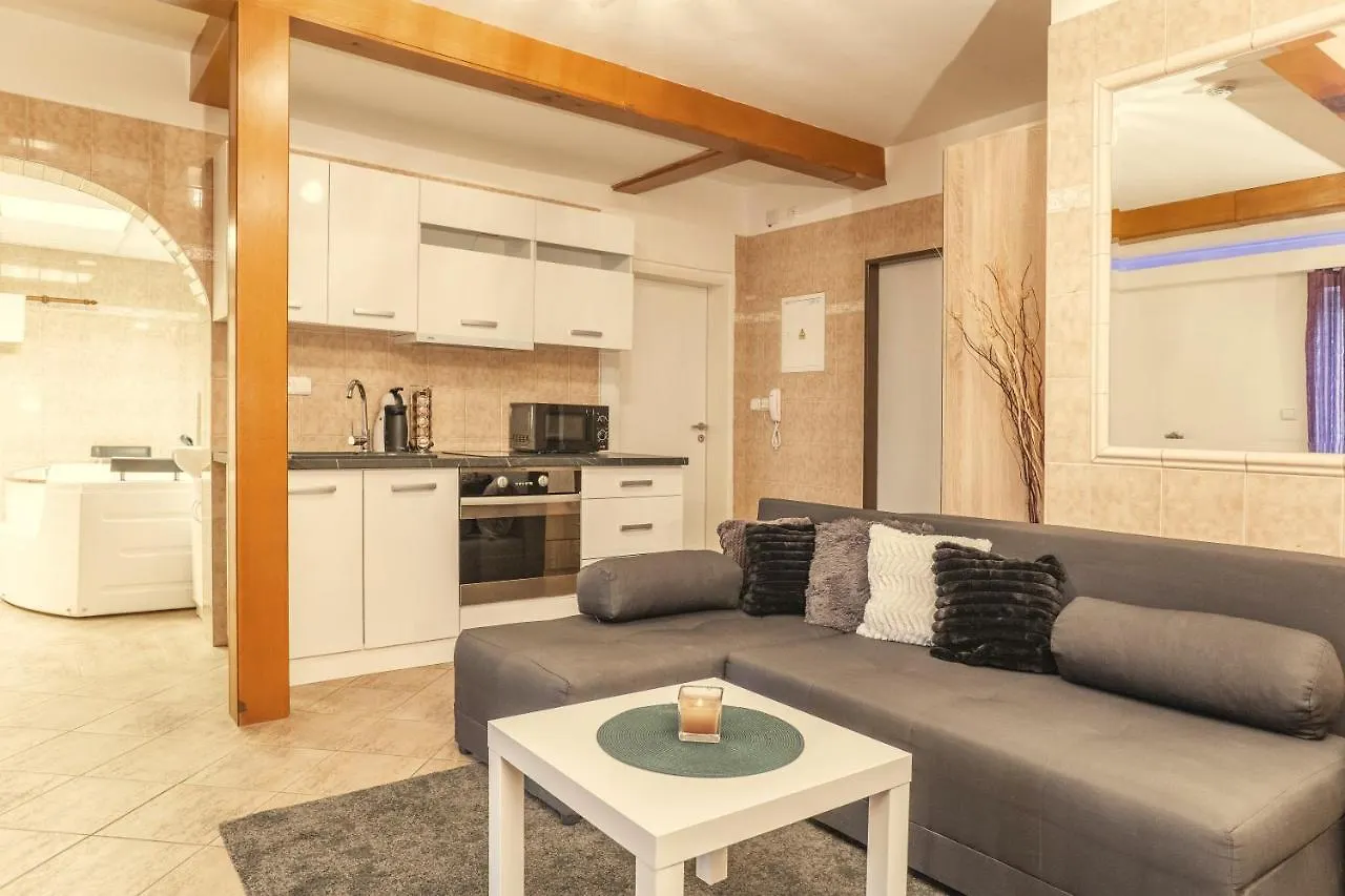 Wellness Studio! Finnish Sauna, Whirlpool, Gym & More! Prag