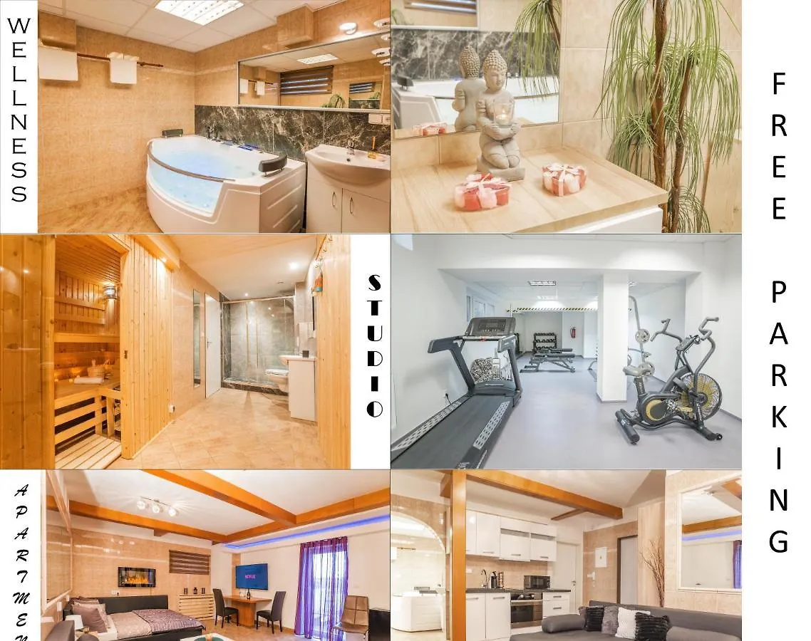 Wellness Studio! Finnish Sauna, Whirlpool, Gym & More! Prag