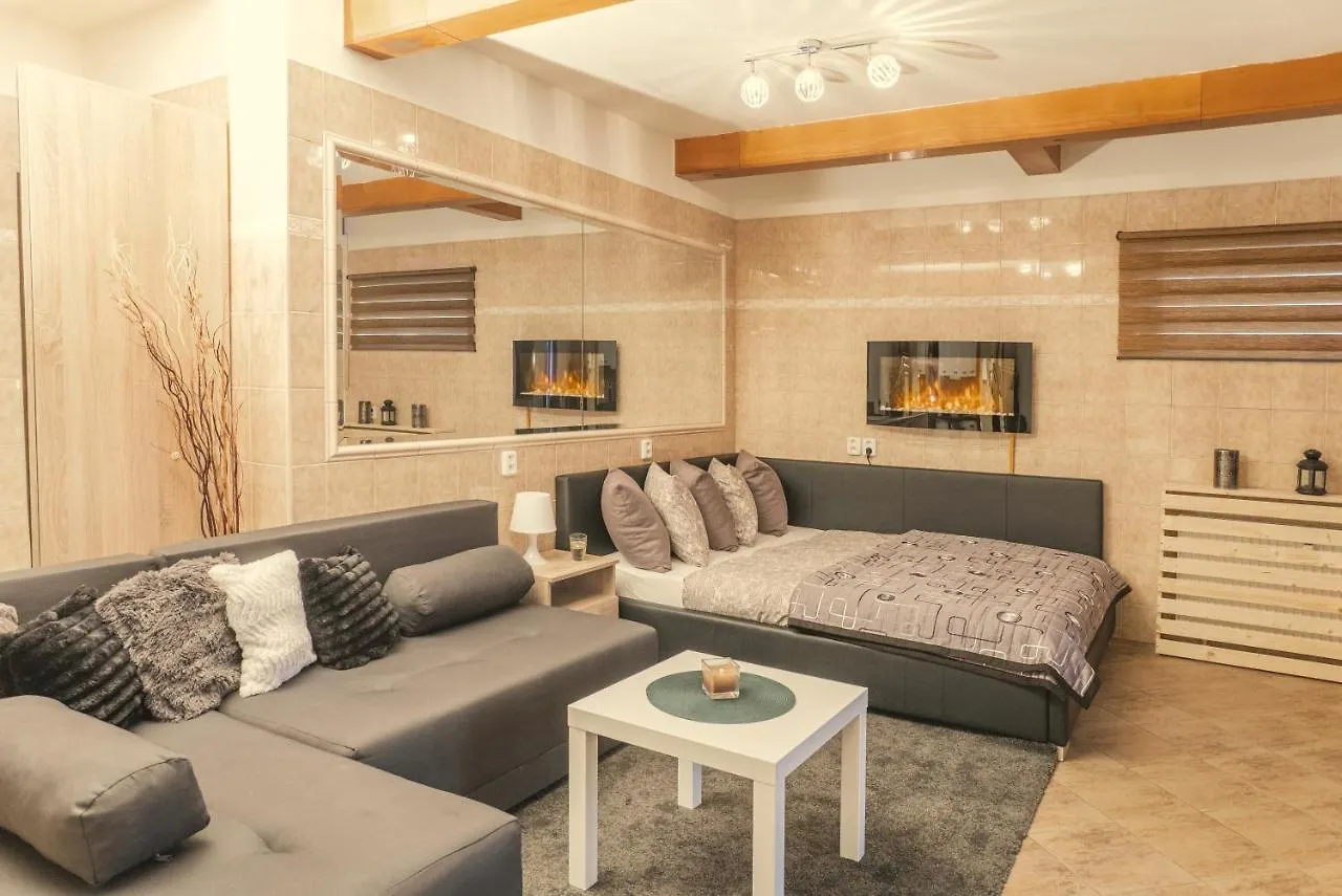 Wellness Studio! Finnish Sauna, Whirlpool, Gym & More! Prag 0*,  Tjeckien